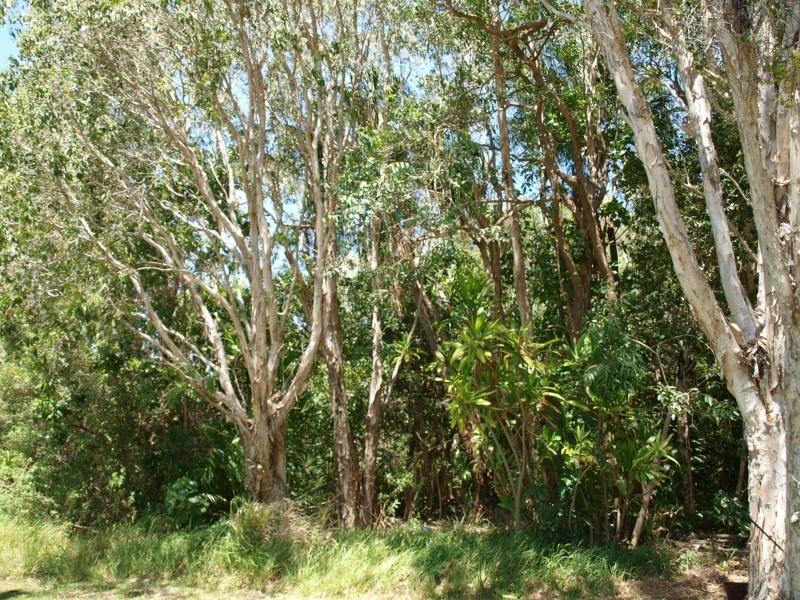 319 Byfield Road, Farnborough, Yeppoon QLD 4703