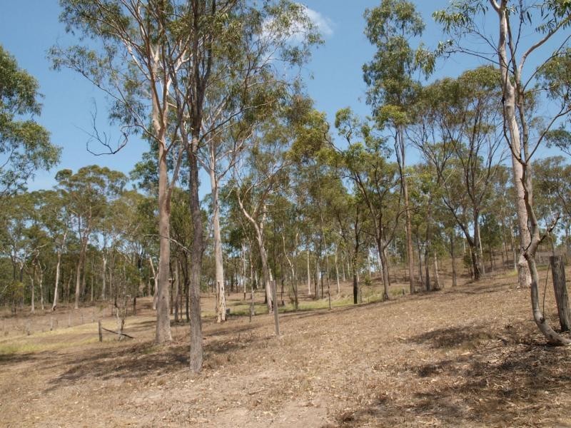 291 Cawarral Road, Tungumull, Cawarral QLD 4702