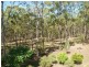 67 Budarick Road, Cawarral QLD 4702