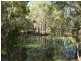 67 Budarick Road, Cawarral QLD 4702
