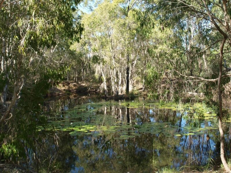67 Budarick Road, Cawarral QLD 4702