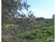 61 Kiama Avenue, Yeppoon QLD 4703