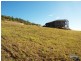 10 Livistonia Crescent, Emu Park QLD 4710