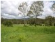 110 Cawarral Road, Cawarral QLD 4702