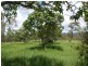 110 Cawarral Road, Cawarral QLD 4702