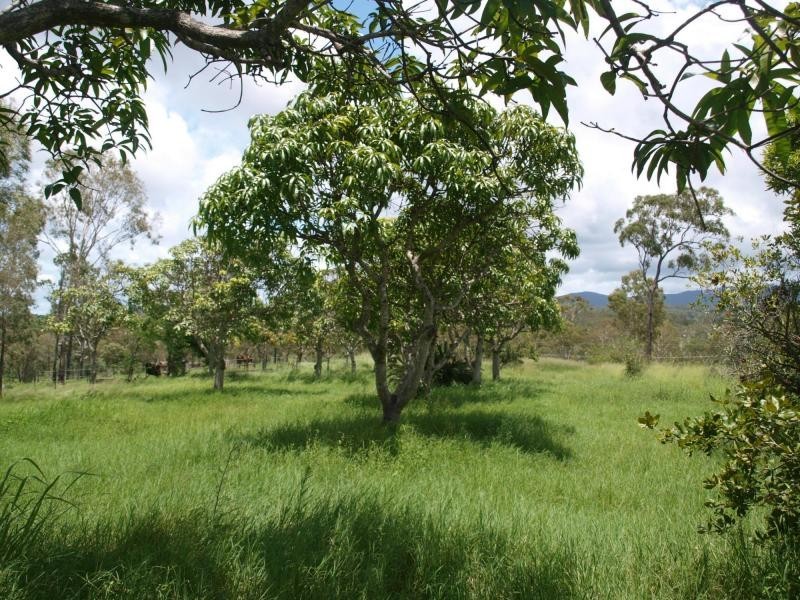 110 Cawarral Road, Cawarral QLD 4702