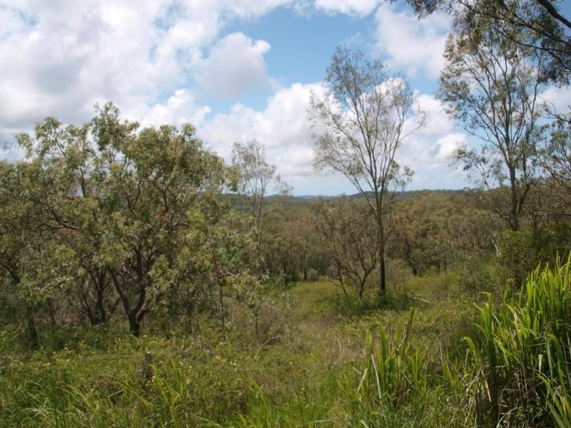110 Cawarral Road, Cawarral QLD 4702