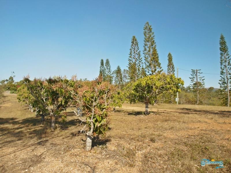 108 Cotton Road, Bondoola QLD 4703