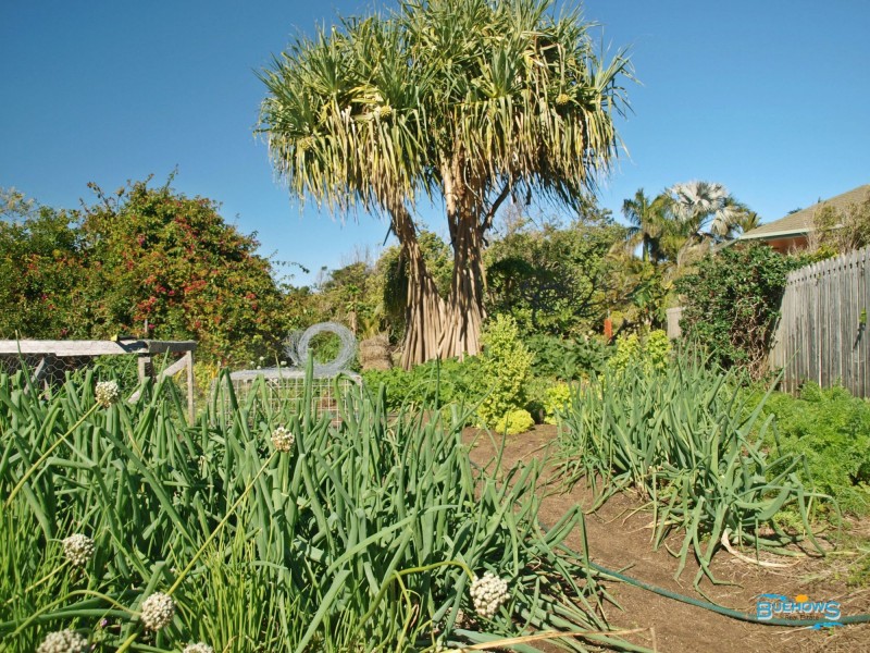 Lot 10, 54 Reef Street, Zilzie QLD 4710