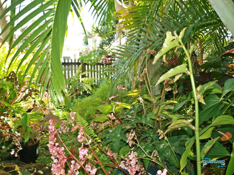 Lot 10, 54 Reef Street, Zilzie QLD 4710