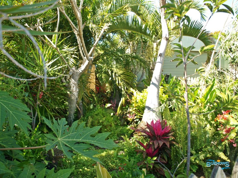 Lot 10, 54 Reef Street, Zilzie QLD 4710