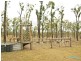 66 Dodson Lane, Cawarral QLD 4702