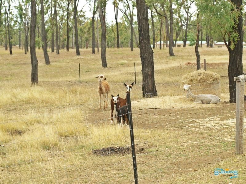 66 Dodson Lane, Cawarral QLD 4702