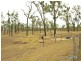 66 Dodson Lane, Cawarral QLD 4702