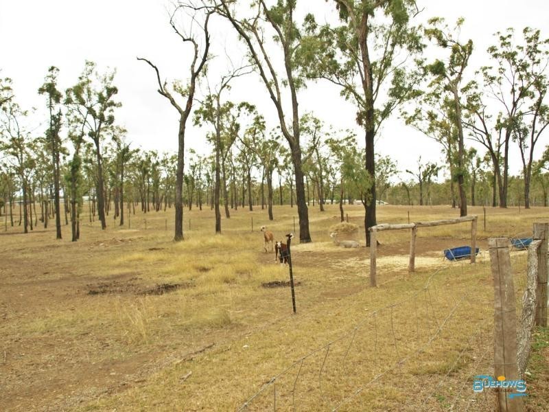 66 Dodson Lane, Cawarral QLD 4702