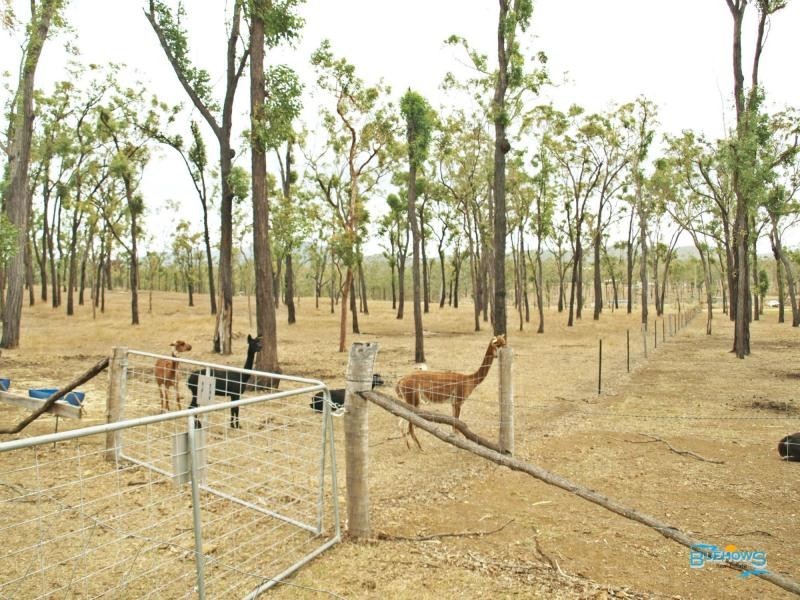 66 Dodson Lane, Cawarral QLD 4702