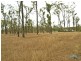 66 Dodson Lane, Cawarral QLD 4702