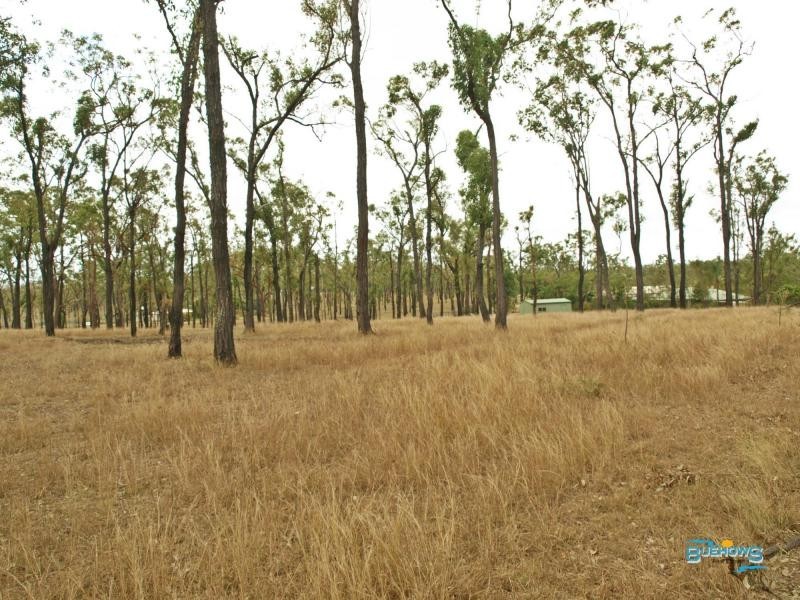 66 Dodson Lane, Cawarral QLD 4702