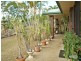 66 Dodson Lane, Cawarral QLD 4702