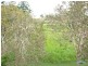 Unit 3/46 Ferguson Street, Emu Park QLD 4710