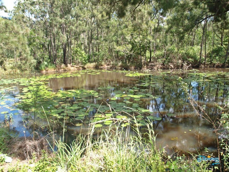 9 Clinton Road, Cawarral QLD 4702