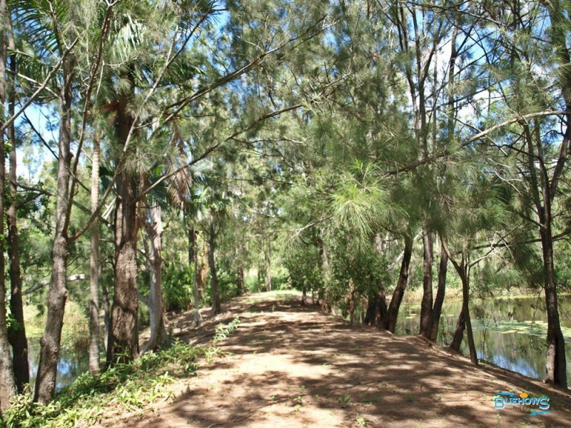 9 Clinton Road, Cawarral QLD 4702