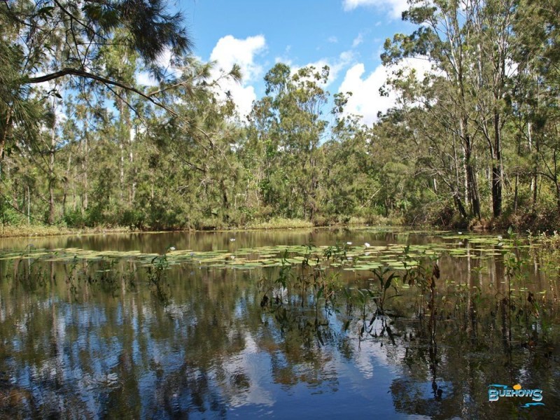 9 Clinton Road, Cawarral QLD 4702