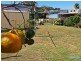 14 Wilbraham Street, Zilzie QLD 4710