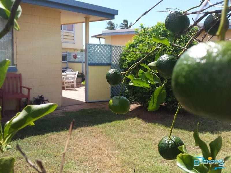 14 Wilbraham Street, Zilzie QLD 4710