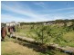 6 Albemarle Street, Emu Park QLD 4710