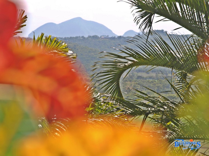 Lot 45, 14-18 Pybus Street, Emu Park QLD 4710