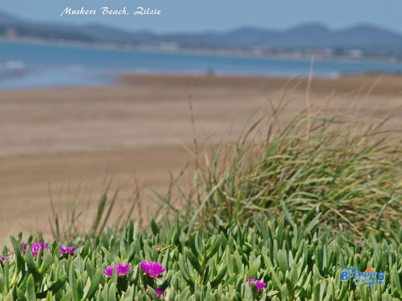 20 Reef Street, Emu Park QLD 4710