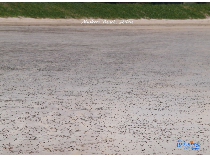 20 Reef Street, Emu Park QLD 4710