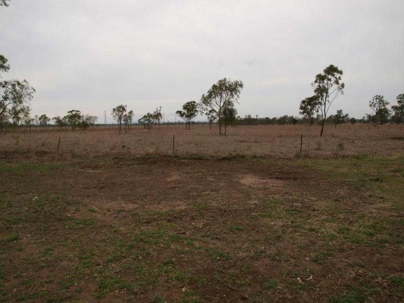 56 Rayner Road, Alton Downs QLD 4702