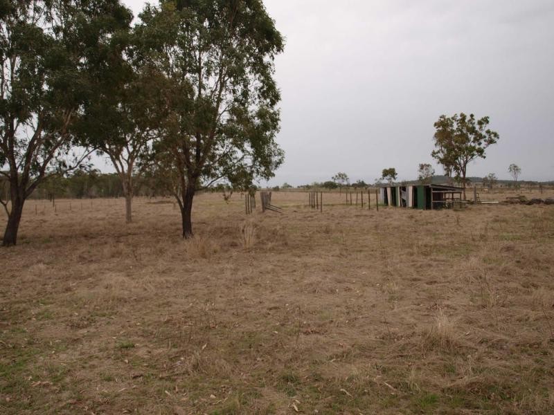56 Rayner Road, Alton Downs QLD 4702