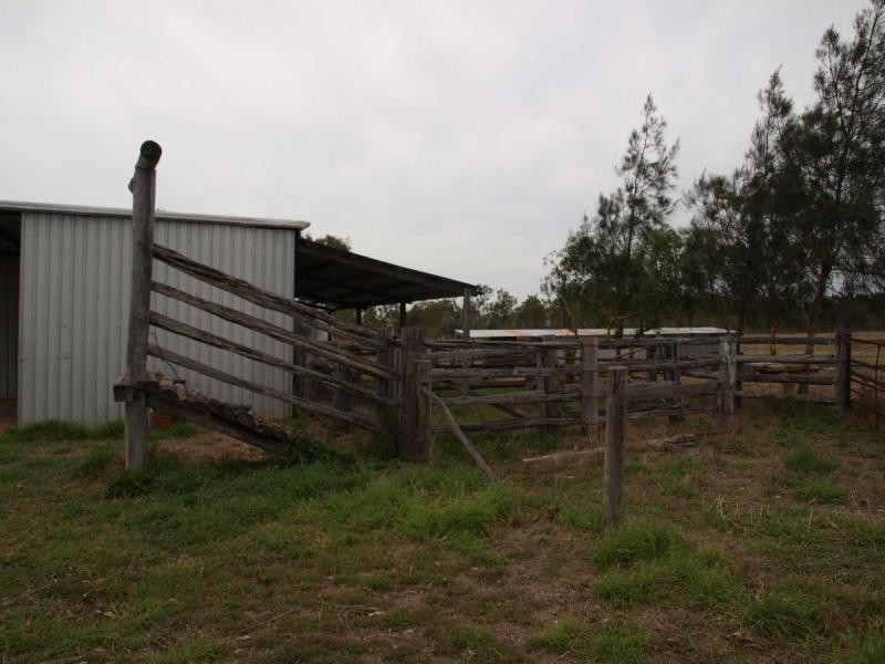 56 Rayner Road, Alton Downs QLD 4702