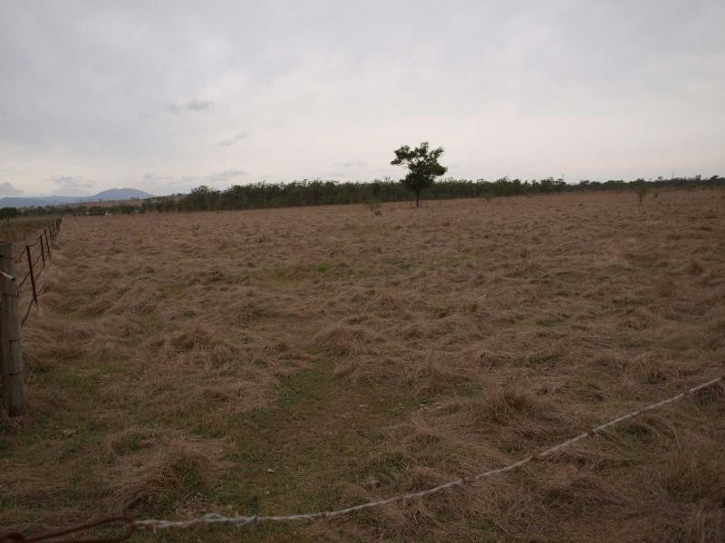 Proposed Lot 2-56 Rayner Road, Alton Downs QLD 4702
