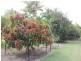 85 Norman Drive, Barmaryee, Yeppoon QLD 4703
