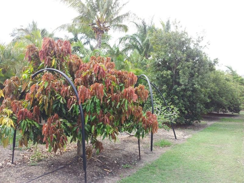 85 Norman Drive, Barmaryee, Yeppoon QLD 4703
