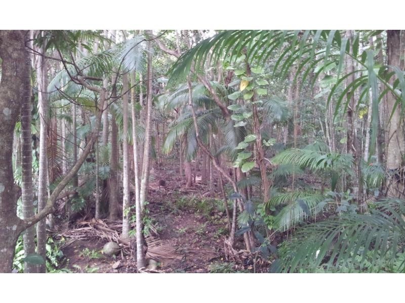 2408 Byfield Road, Byfield QLD 4703