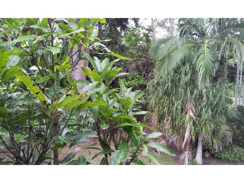 2408 Byfield Road, Byfield QLD 4703