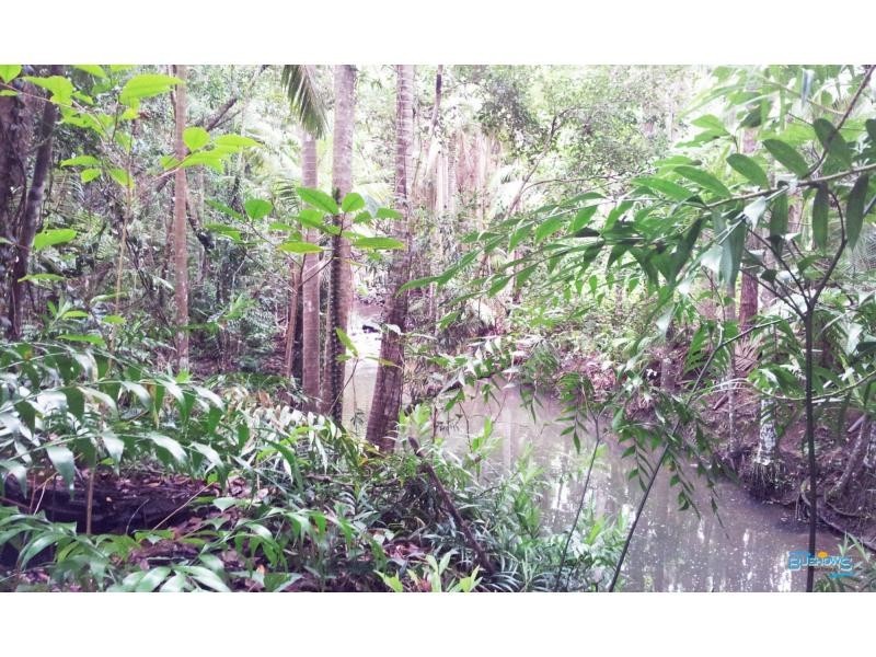 2144 Byfield Road, Byfield QLD 4703