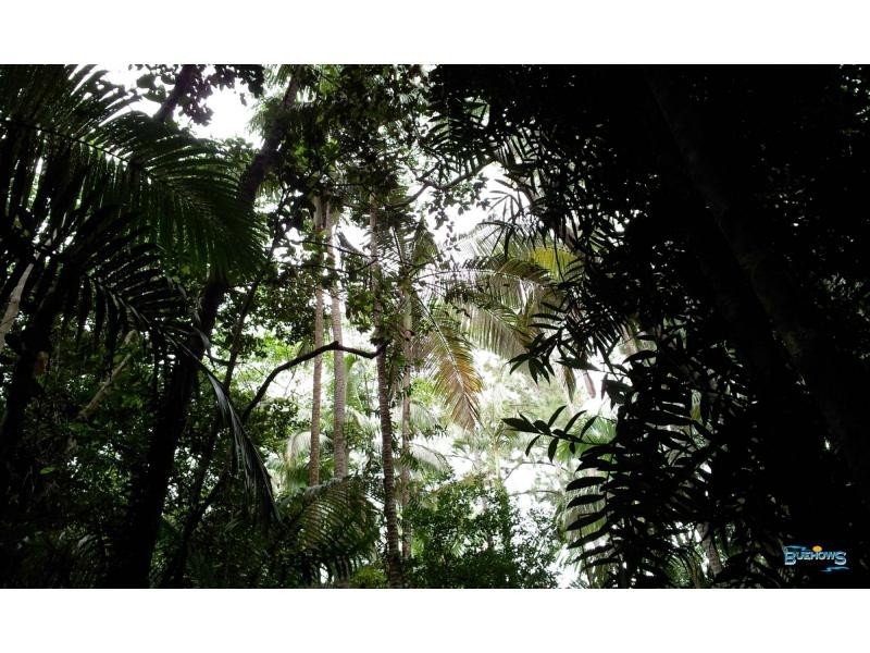 2144 Byfield Road, Byfield QLD 4703