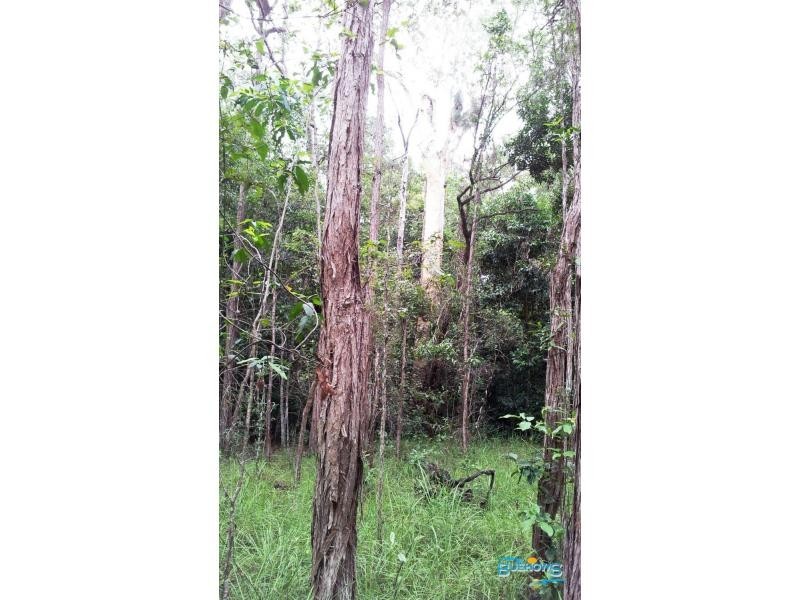 2144 Byfield Road, Byfield QLD 4703