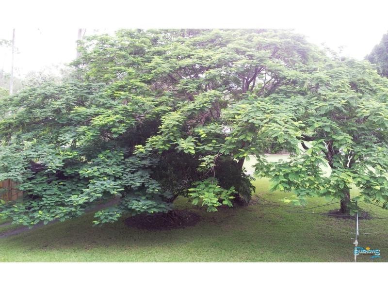 2409 Byfield Road, Byfield QLD 4703