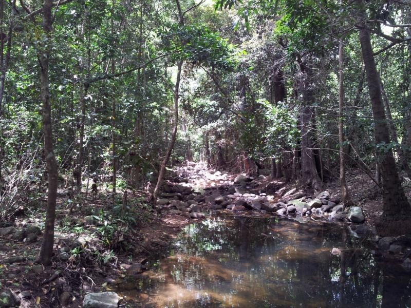 2428 Byfield Road, Byfield QLD 4703