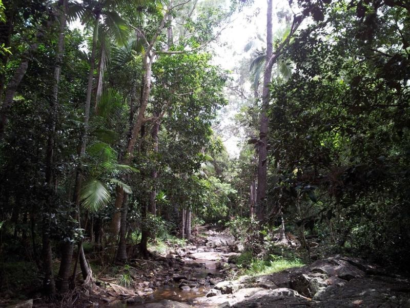 2428 Byfield Road, Byfield QLD 4703