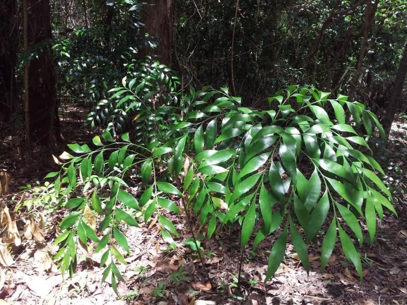 2428 Byfield Road, Byfield QLD 4703