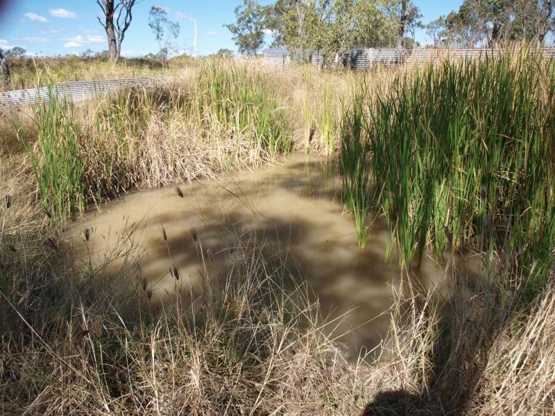 38 Edith Street, Port Curtis, Rockhampton City QLD 4700