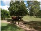 28 Racecourse Road, Barmaryee, Yeppoon QLD 4703